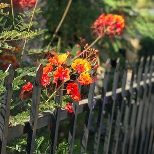 Meet your Posher, Jasmin